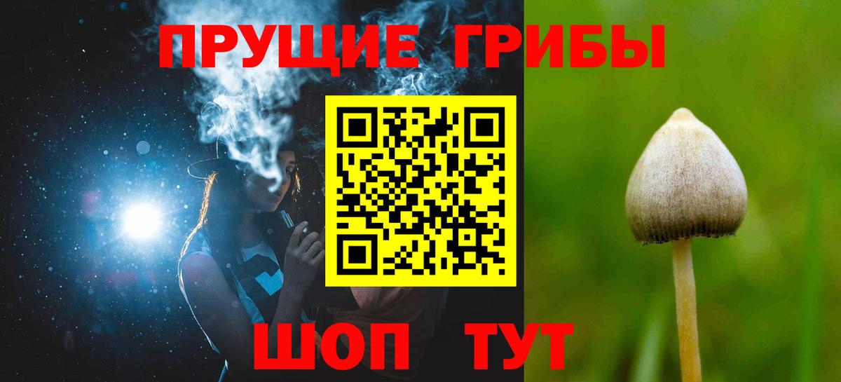 Псилоцибиновые грибы Psilocybe  купить наркоту  Галлюциногенные грибы GOLDEN TEACHER  Южноуральск  Вход с VPN 